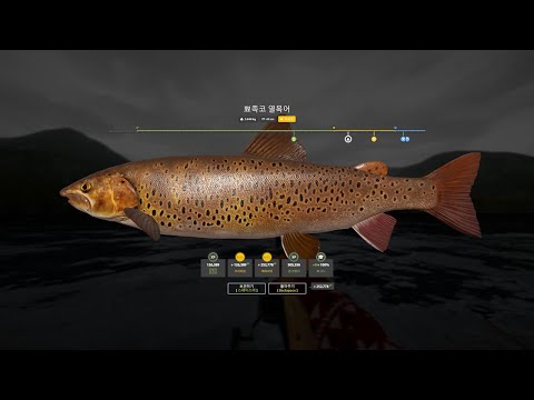 russian fishing 4 Sharp-snouted Lenok 5.848kg (러시안 피싱 4 뾰족코 열목어 5.848kg)