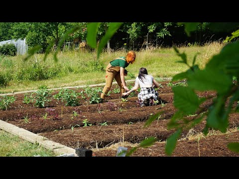 Eine grüne Lunge in Eupen: der Bio-Garten von Intego