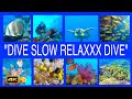 Dive slow relaxxx dive / Coraya Bucht, Jaz Lamaya Resort 4K