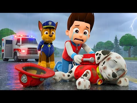 OMG... Marshall Please Wake Up! 😭 Don’t Leave Ryder! | PAW Patrol Ultimate Rescue | Rainbow 3