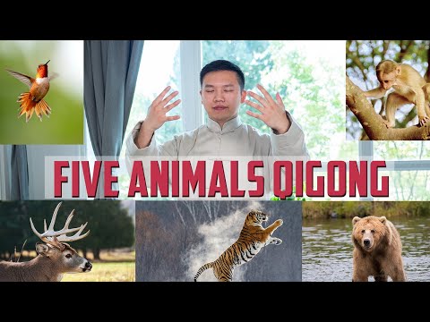Five Animal Qigong Full Routine