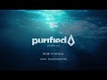 Purified Radio 336