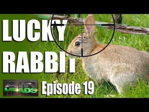 Lucky Rabbit – AirHeads, episode 19 Lucky Rabbit – AirHeads, episode 19