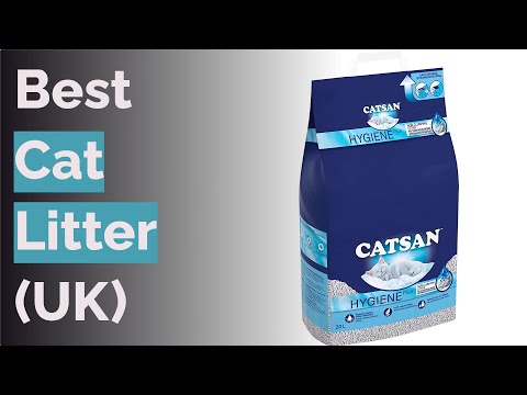 🌵 10 Best Cat Litter