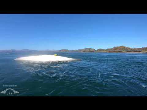 Sea kayaker self rescue from whirlpool