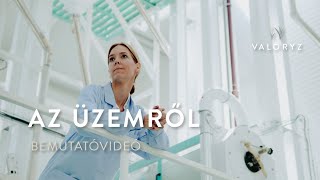 Saját márkás gluténmentes gabona vagy liszt csomagolás