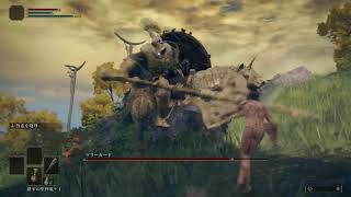 ELDEN RING　初見プレイ