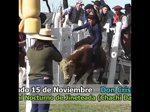 Monta de Toros en Los Naranjos Hasenkamp Entre Ríos