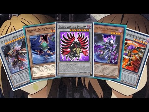 My Blackwing Yugioh Deck Profile for Post Legendary 5D's Decks