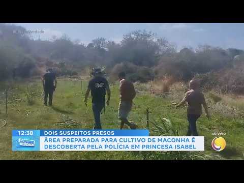 Em Princesa Isabel: área preparada para cultivo de maconha é descoberta pela polícia
