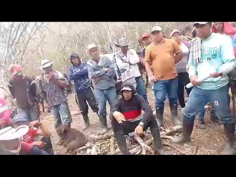 Defensa Determinada del Territorio por los Campesinos de Toledo, Antioquia