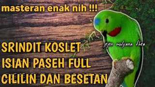 Download lagu serindit isian mewah || masteran simple mp3