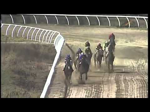 1. Lauf zur Wintermeisterschaft der Amateure - Preis von Orange - 26.01.2015