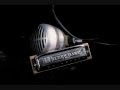 FAST LIFE BLUES - CHARLIE MUSSELWHITE