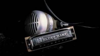 FAST LIFE BLUES - CHARLIE MUSSELWHITE