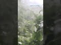 Putham Puthu Malare Amaravathi Status SPB Whatsapp Status Kalaya Kanave