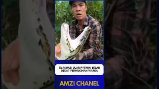Download lagu THIS MAN SUCCESSFULLY CATCHED A LARGE PYTHON (Part 2) mp3