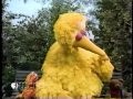 Sesame Street Big Bird Shows Between