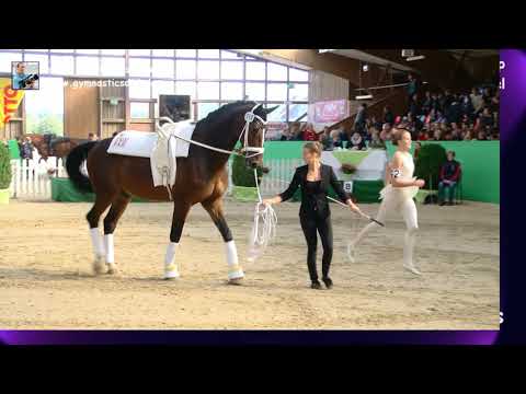 Luise Ottlik (SHO) - Damen 33 - DJM Krumke 2019