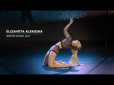 WINTER ZHARA 2021 ART PROFESSIONAL - Elizaveta Aleksina