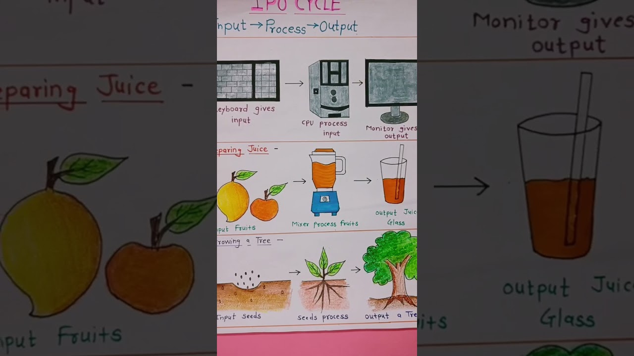 Computer IPO Cycle  | Input Process Output | IPO Cycle # shorts