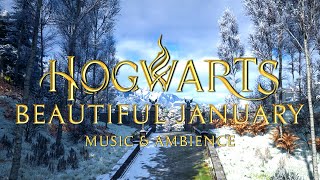 A Beautiful January at Hogwarts – Calming  Harry Potter Music &amp; Winter Atmosphere