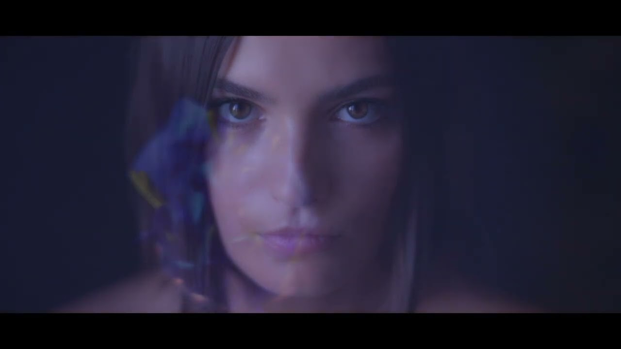 FNC 2022 | Harmony (Gailleurd Céline et Olivier Bohler, 2022)