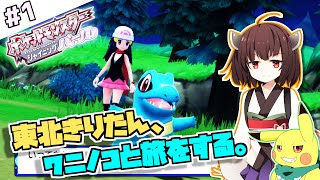 【ポケモンBDSP】東北きりたん、ワニノコと旅をする。part1【VOICEROID＋ゆっくり実況】