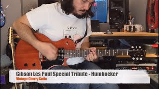 Video thumbnail for Gibson Les Paul Special Tribute Humbuckers | Does it sound cheap? Is it worth it? ($999 USD) - Demo by mauricio méndez
