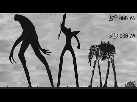 One Piece Size Comparison