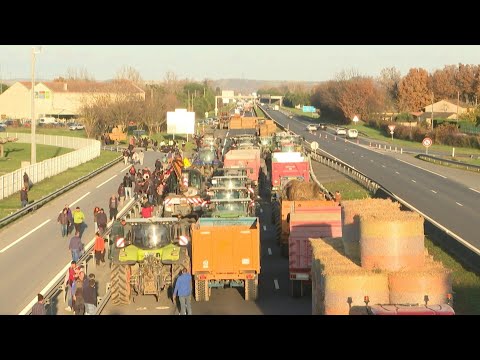 Video | French farmers block the A64 motorway south of Toulouse | AFP