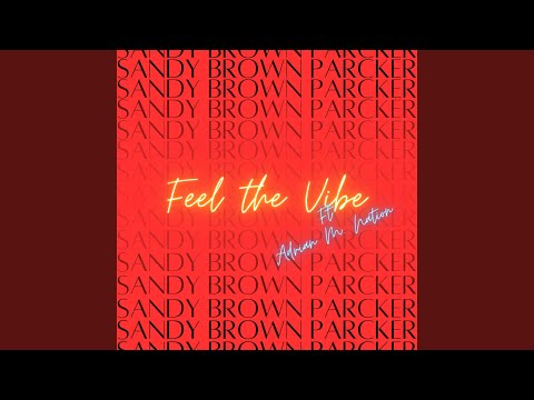 Feel The Vibe (feat. Adrian M. Nation)