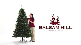 Easy Plug™ Artificial Christmas Trees