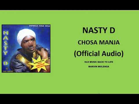 Nasty D - Dziko La Mtendere (Chosa Manja) Official Audio