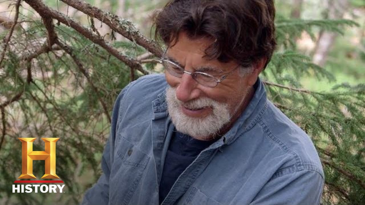 YouTube Thumbnail Downloader FULL HQ IMAGE