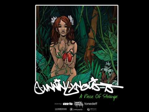 cunninlynguists pieces of strange never know why