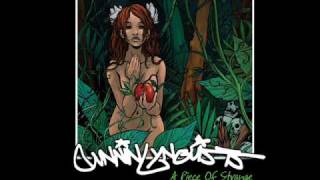 cunninlynguists pieces of strange never know why