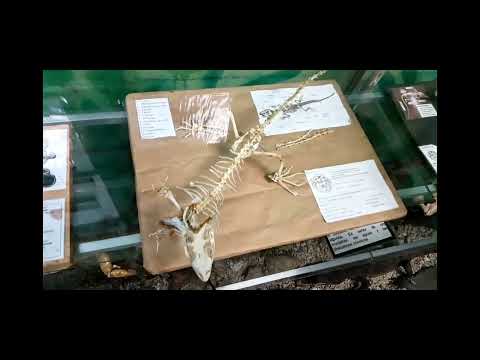 Excursión al jardín botánico