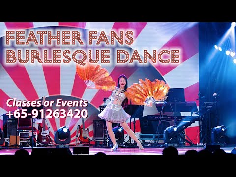 Feather fans burlesque dance - ☎️+65-91263420