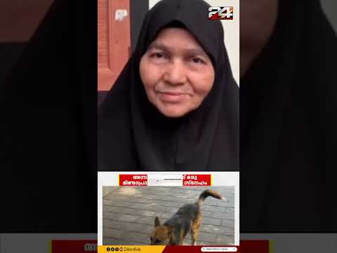 ആമിന ഉമ്മയുടെ ഖബറിടത്തിന് കാവലിരിക്കുന്ന തെരുവ് നായ