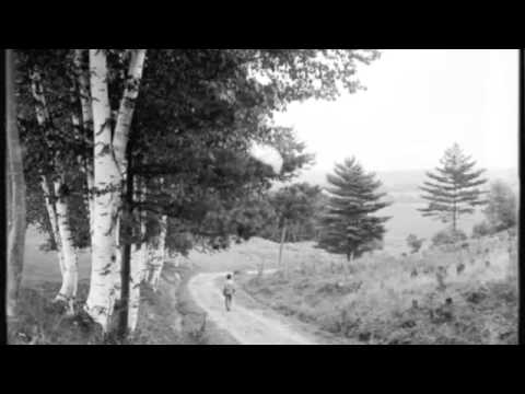 The Woodshedders - Virginia's Fair Daughters