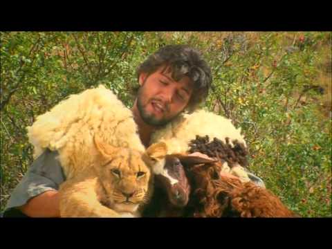 davit tujaryan garnarac