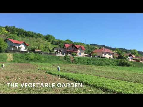 A quick trip home- HAPRIA | TeoMakes