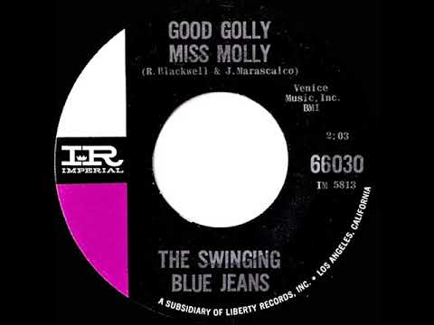 1964 HITS ARCHIVE: Good Golly Miss Molly - Swinging Blue Jeans