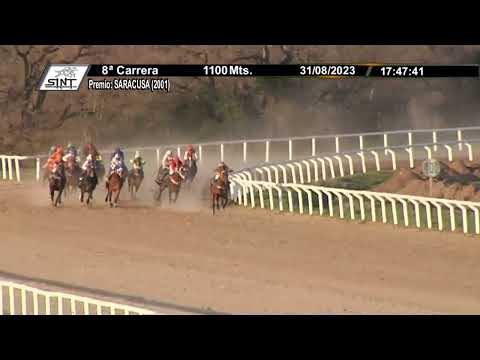 230831 c08 1° BUENA CARTA