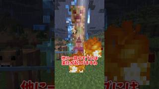 マインクラフトの天候の仕組み【ゆっくり実況】
