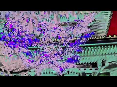 Fumiya Tanaka - Three-storied Pagoda (1997)