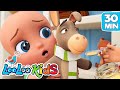My Donkey Has A Headache S3EP89 Kindergarten Fun Highlights Compilation LooLoo Kids
