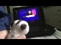 Timon Watches The THX Logo