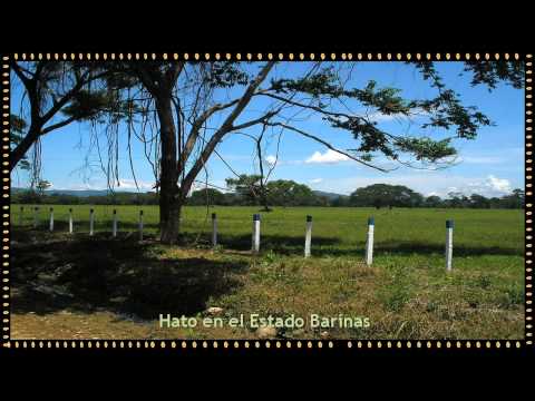 La catira Cruz Peralta - Poesía criolla - (Johnny Díaz Apitz)